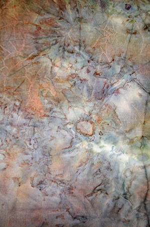 sneeuwprint